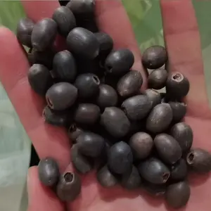 Beautiful pavilion room lily of the valley season