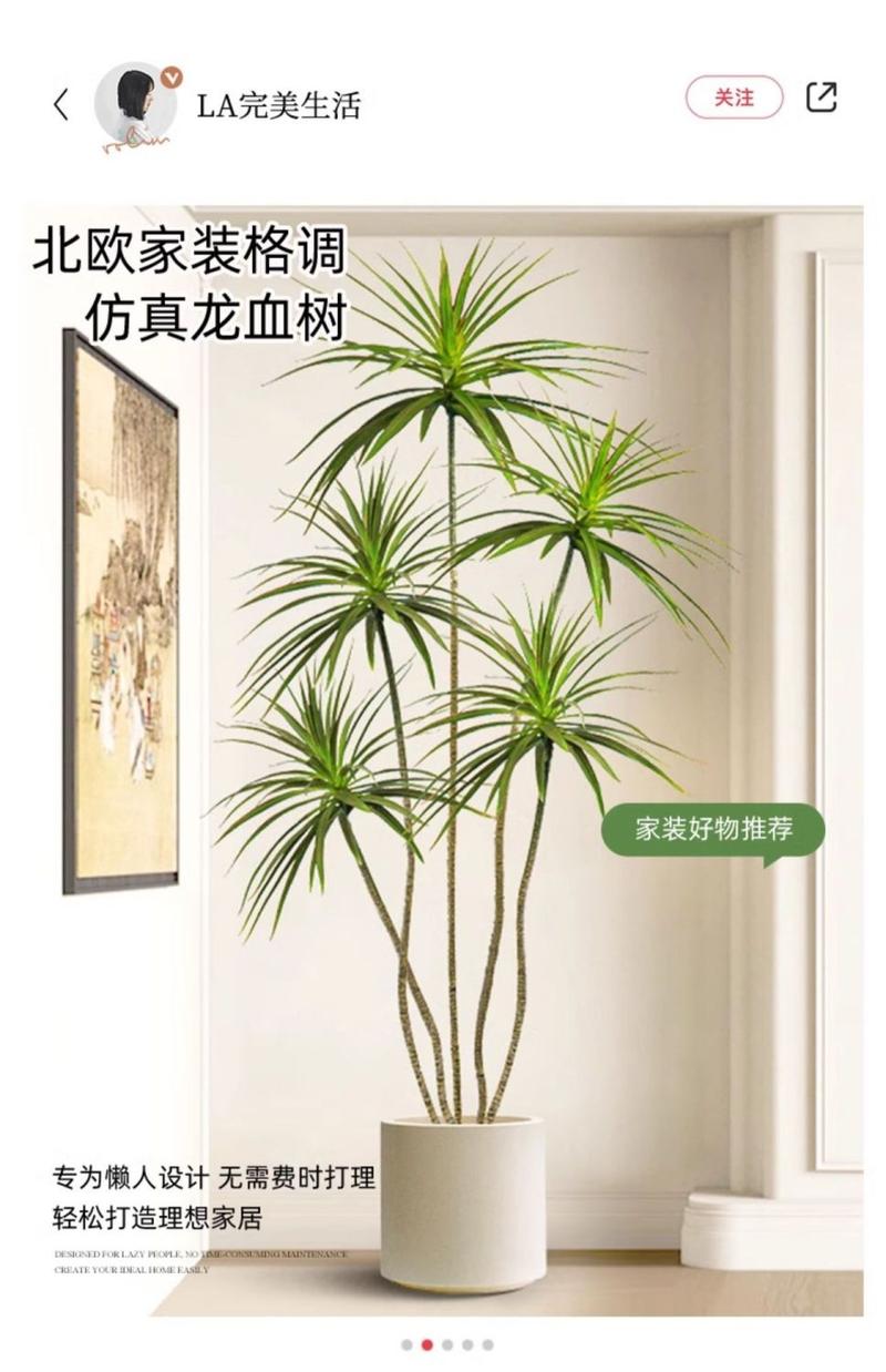 Product Introduction of Minimalist Home Decor Artificial Green Plants Indoor Potted Large Bionic Plant Landscaping Tree Fake Flower Arrangement Living Room Floor Ornament Dragon Blood Tree 0