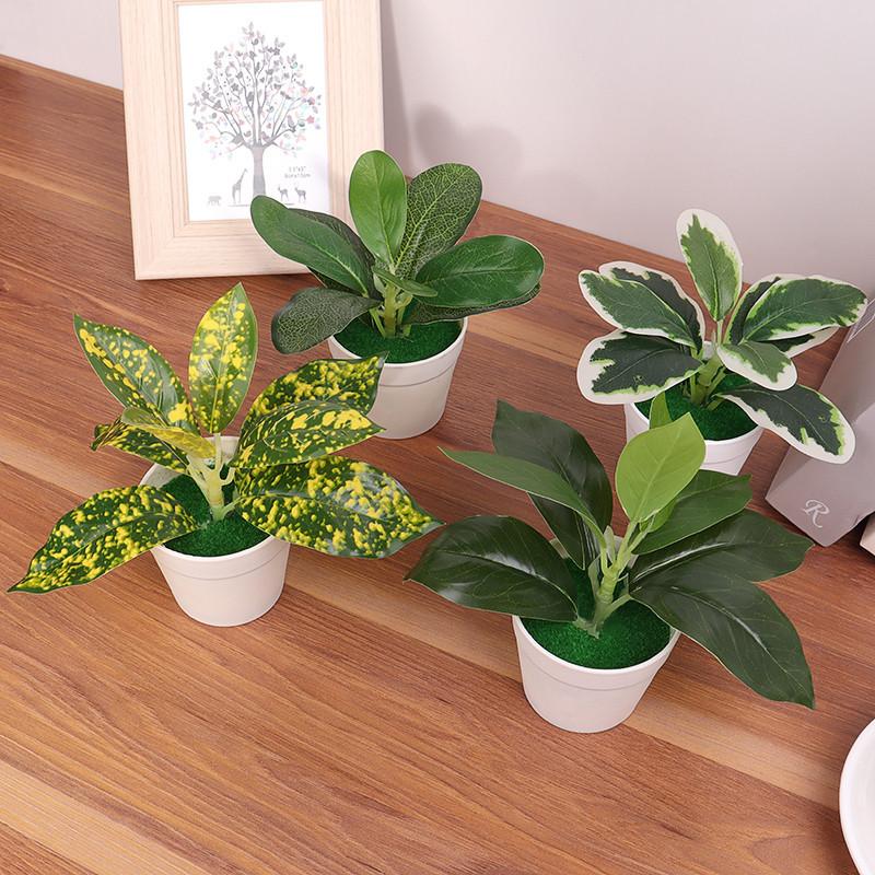 Cây Nhân Tạo, Cây Bonsai Mini, Cây Trong Chậu, Hoa Giả, Đồ Trang Trí Trong Chậu Để Bàn Văn Phòng, Trang Trí Sân Vườn Nhà Cửa 0
