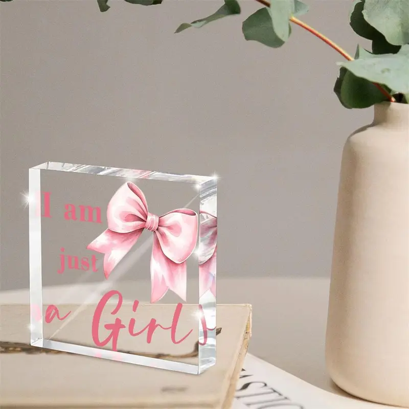 Pink Bow Decoration, Acrylic Plaque, Lovely College Style Things, Desk Accessories Decoration, Dormitory Room Decoration, Home Decor, Signs 5