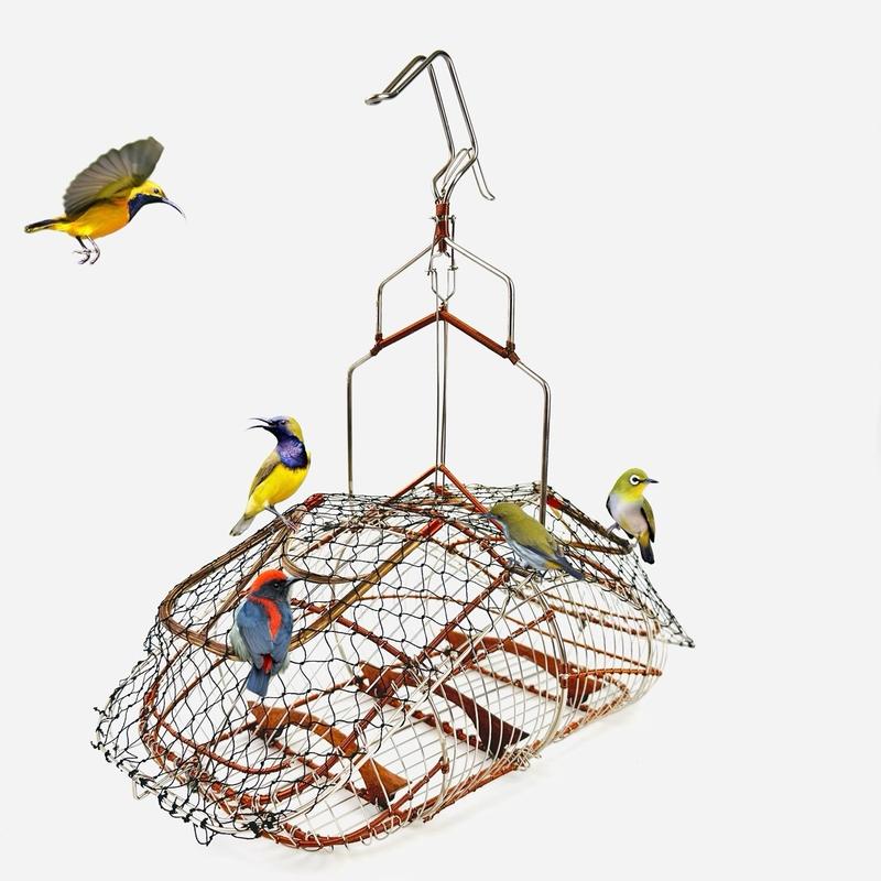 Lồng Kĩ Vai Vuông Cho Chim Khuyên Hút mật Ốc mít Sâu Quấn Full Đồng Kèm Phụ Kiện