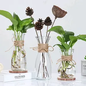 VAS BUNGA KACA BENING TALI RAMI / BUNGA KERING / HIDROPONIK / RUSTIC / KARAFE ESTETIK IKEA