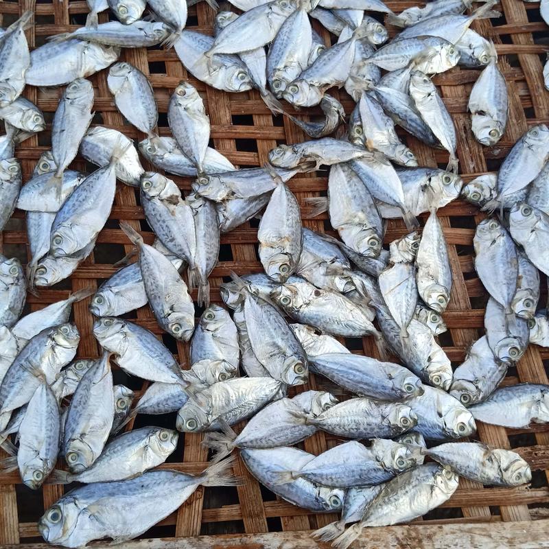 IKAN PETEK / PEPETEK ASIN 100/250/500 gram Laut Fish 3