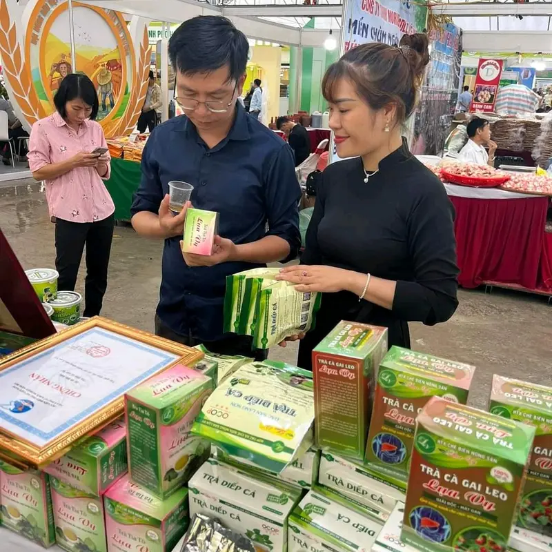 (gửi thêm 5 túi trà ) Trà diếp cá Lụa Vy gói to 40 túi lọc - Đặc sản Lạng Sơn, Nước Trà, Tea 4