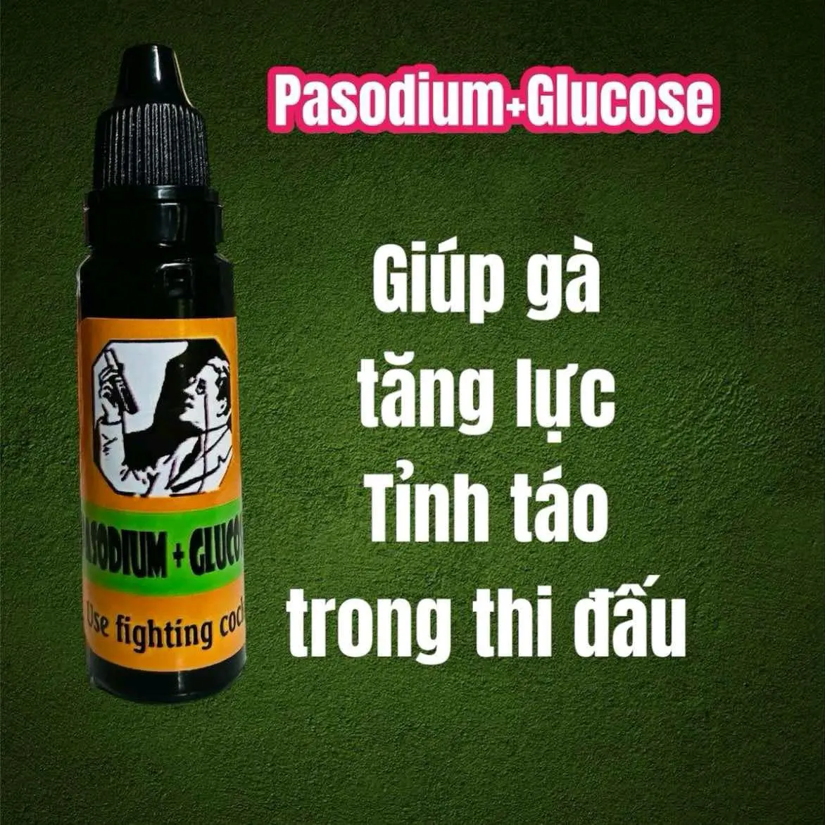 pasodium+glucode giúp gà tăng lực tỉnh táo trong thi đấu
