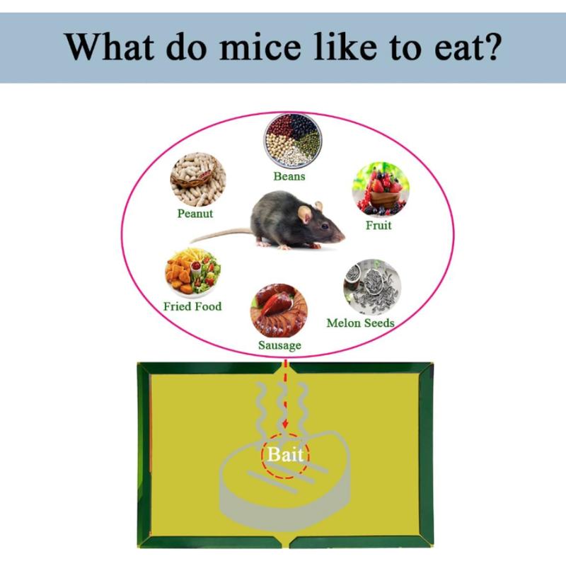 Product Introduction of XXL Strong Mouse & Rat Glue Traps | Pest Control Sticky Trap | SG LOCAL STOCK 14