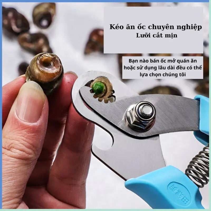 Kìm cắt đuôi ốc- Kìm tách Xò Huyết  Dụng cụ bấm loại bỏ đầu ốc làm bằng thép không gỉ có đầu mở lắp đá tiện lợi 3