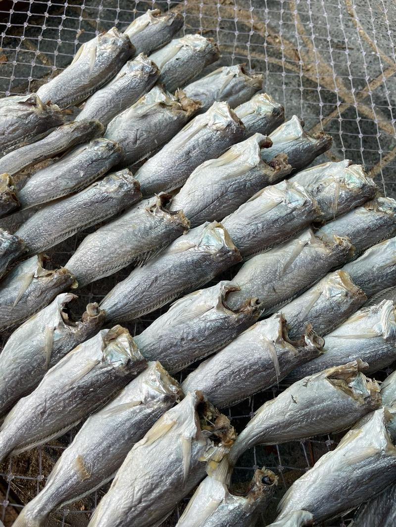 Product Introduction of 500.gram khô cá đù lớn vị mặn ăn cơm size 14-18 con Food (quý khách ăn lạc nên ngâm nước 30-40 phút trước khi chiên. 5