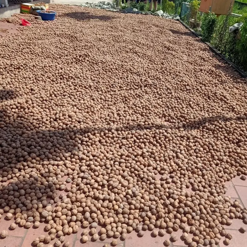 1KG HẠT ÓC CHÓ TÁCH VỎ KHÔ NHÀ LÀM Nuts Ăn Vặt hạtdinhduong 1