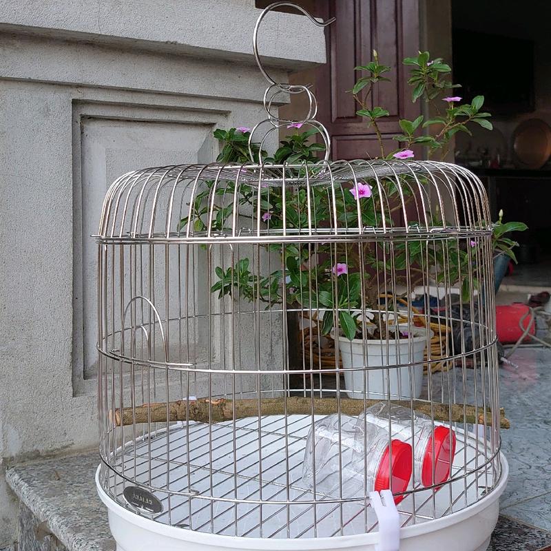 Lồng chim cu gáy bằng liệu Inox tròn size 38