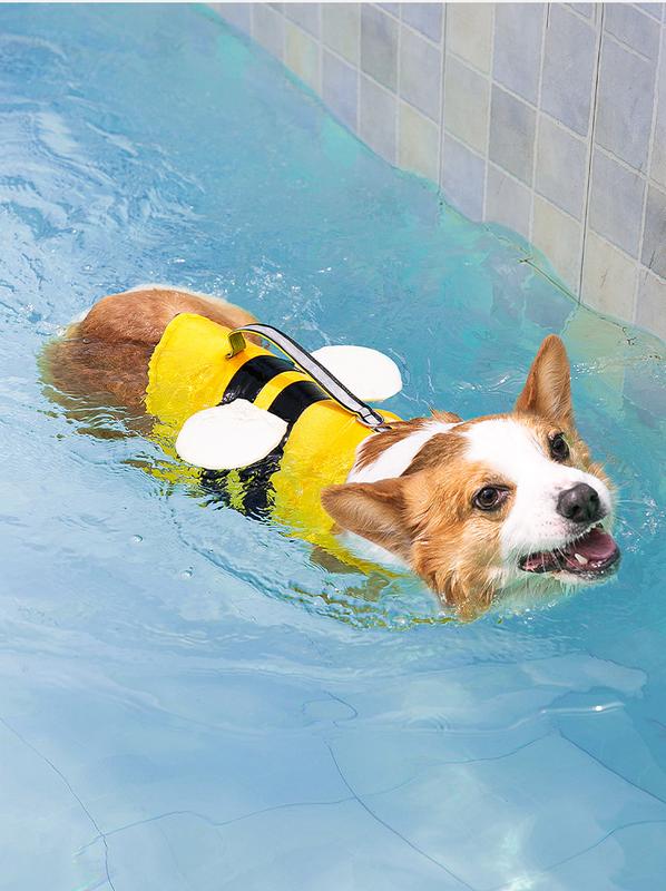 Product Introduction of Chomeo Dog Life Jacket, Universal Dog Swimsuit for Medium and Small Dogs, Pet Buoyancy Suit 7