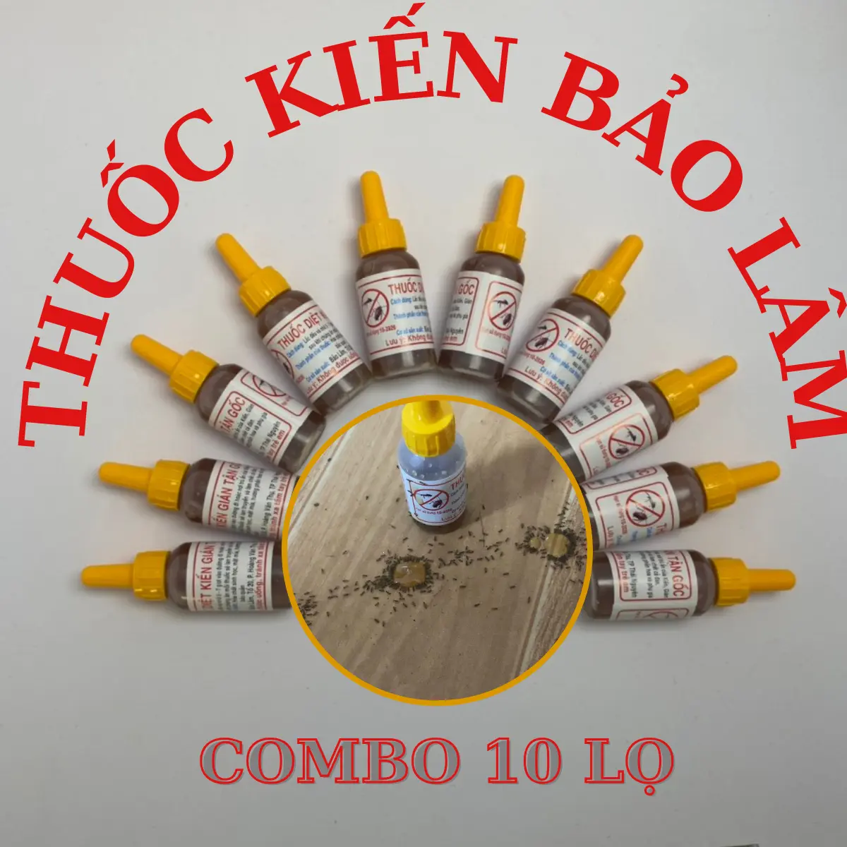 Dung Dịch Diệt Kiến Gián Hiệu Quả Bất Ngờ Nhang