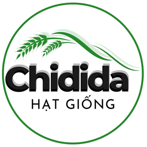 Hạt Giống Chidida