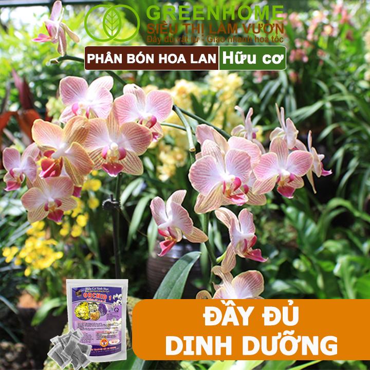 Product Introduction of Phân Bón Lan Greenhome, 1 Tép, Túi Lưới, Tan Chậm, Không Mùi Hôi, Dưỡng Lan Ra Rễ, Xanh Tốt, Dùng Tốt Cho Sen Đá, Kiểng 30