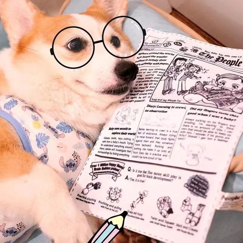 Đồ chơi cho chó có thể ăn, không mùi, có thể nhai, thiết kế báo in, thích hợp cho Corgi và chó cỡ Trung Bình cung cấp, đồ dùng cho chó 0