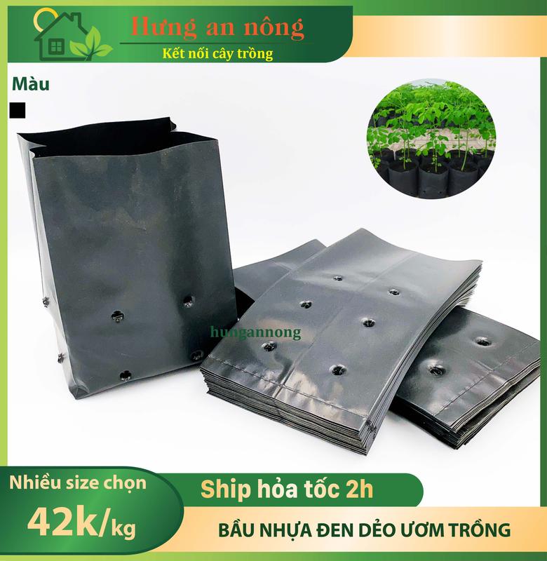  1kg Túi nhựa đen dẻo ươm cây bầu ươm trồng cây 