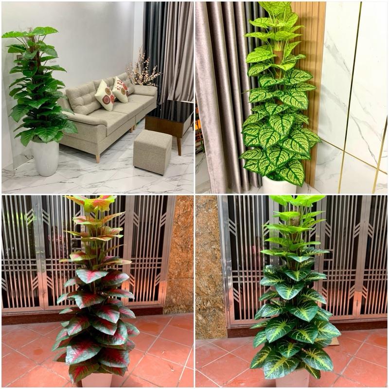 Cây giả, Cây trầu bà leo cột, Cây giả trang trí