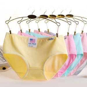 Seluar Dalam Berwarna-warni Wanita, Kapas, Saiz L hingga XXL, Stok Sedia