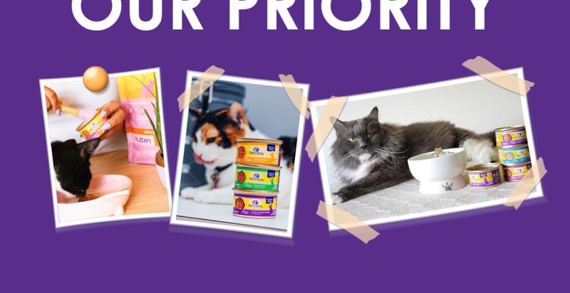 Product Introduction of Wellness Complete Health Gravies Wet Cat Food 3oz 8