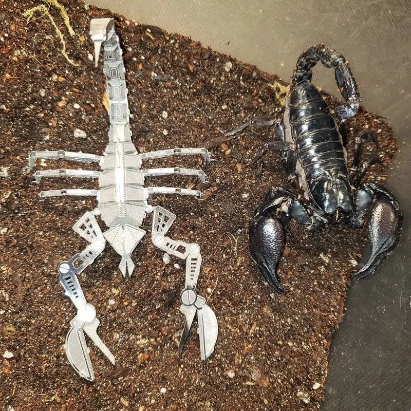 Mô hình 3D kim loại lắp ráp Bọ cạp Scorpion _ Chưa lắp 6