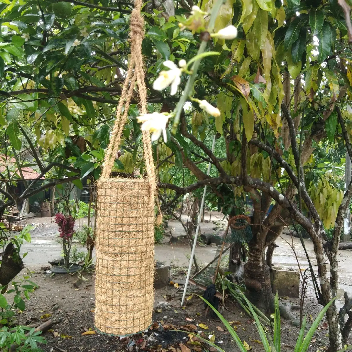 Turus jumbo media tempel anggrek gantung panjang 30cm