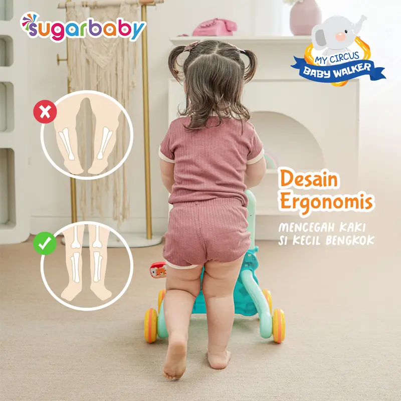 Sugar Baby My Circus Push Walker (Baby Walker)/ Mainan Dorong Bayi Green Pink 2