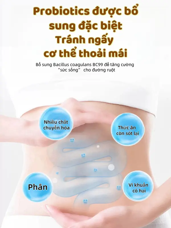 Yến mạch Men vi sinh nước cốt dừa Jiuzhitang chất xơ cao, Ăn Liền không đường Sucrose, bột yến mạch thay thế bữa ăn nhẹ hộp 400g 3