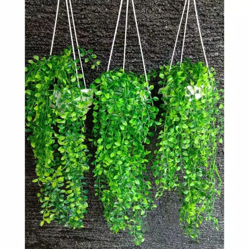 Daun Gantung Artificial Juntai Kemuning Hijau Plus Pot Gantung atau Dinding Dekorasi Taman Rumah 0