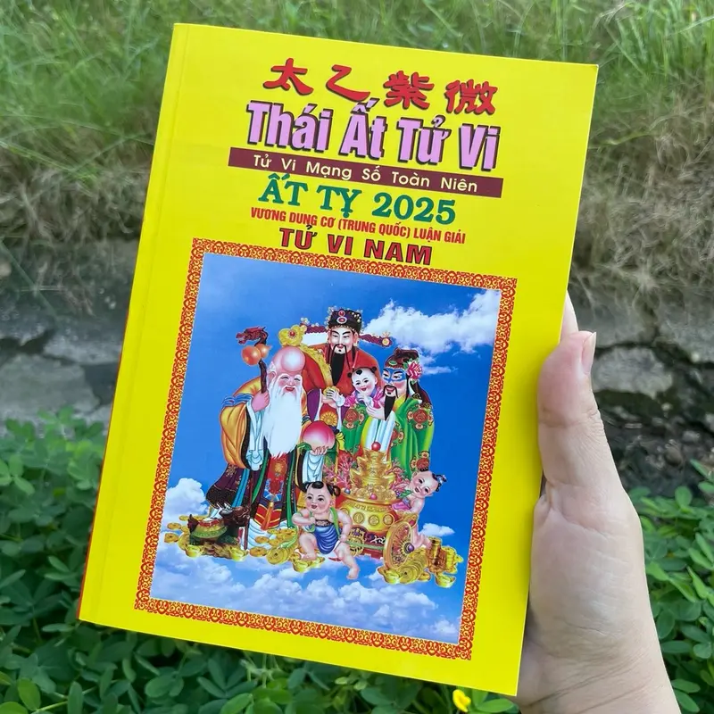 Lịch Thái Ất Tử Vi Toàn Niên Ất Tỵ 2025 (nam) 0