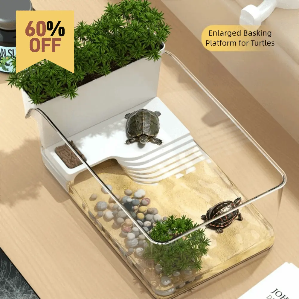New Transparent Turtle Tank Ecological Landscaping with Basking Area ...