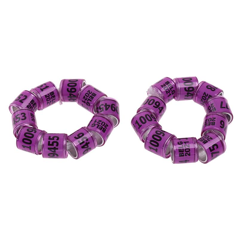 Product Introduction of 20 pcs Pigeon Foot Ring With Word Earrings 2023 Multicolor Bird Tools 38