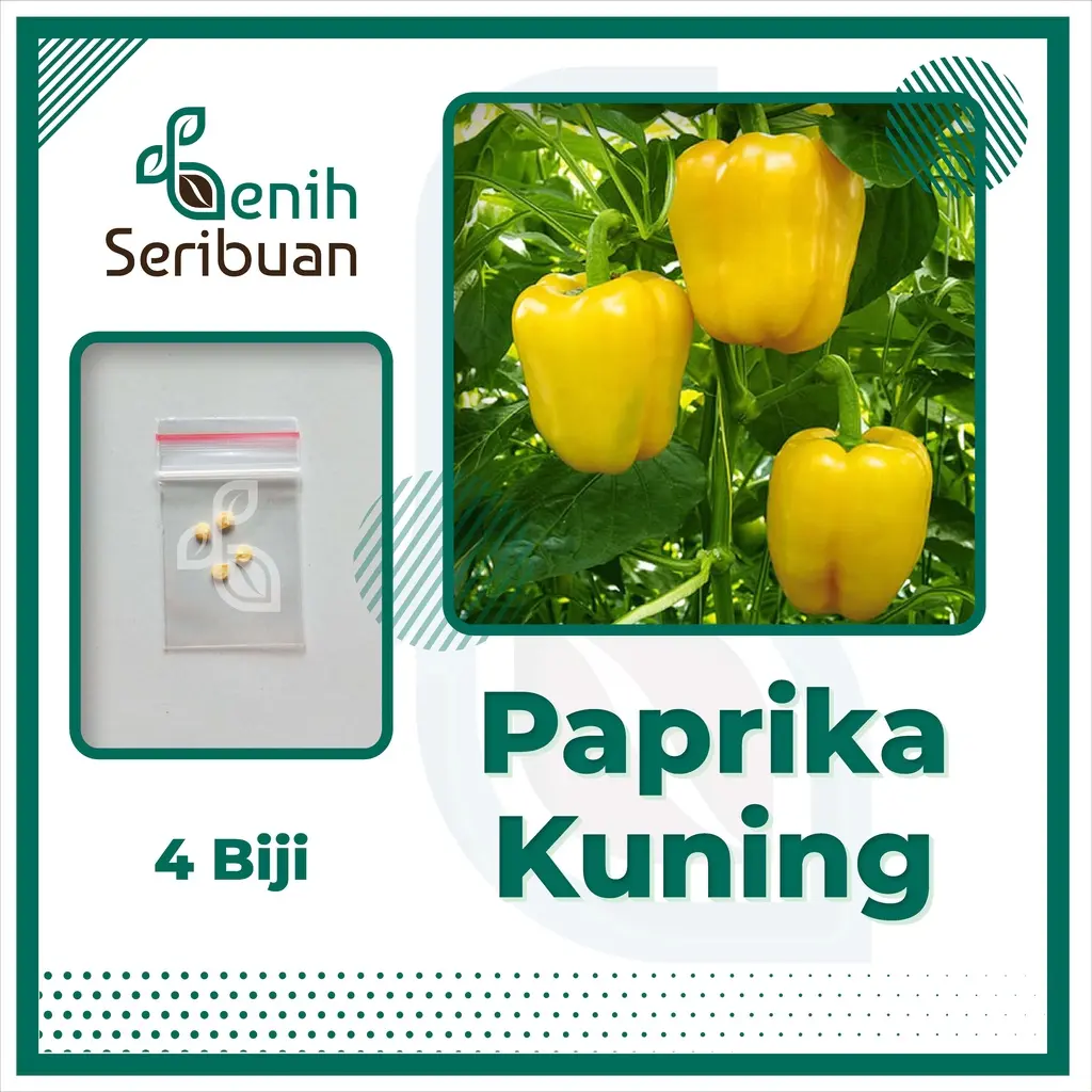 PAPRIKA KUNING