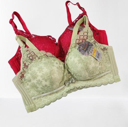(Harga Satuan) Bra wanita push up busa sedang tanpa kawat kait 3 art 862 3