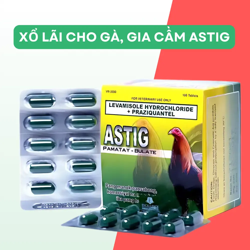 Astig 1 vỉ 10 viên xổ lãi cho gà