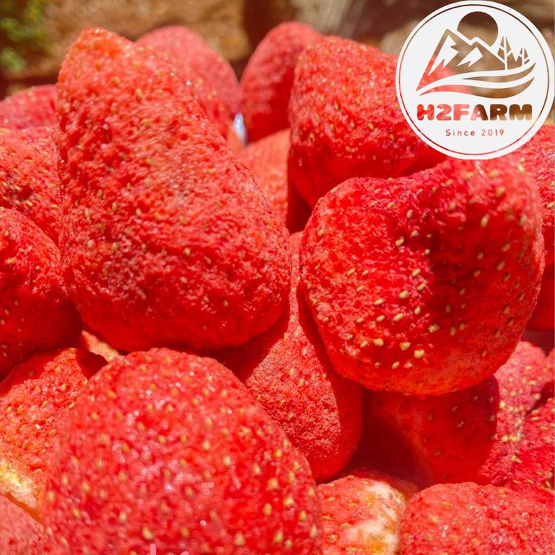  Dâu Tây Sấy Thăng Hoa- Sấy Giòn - H2farm - Chua - Ngọt tự nhiên- Snack food - Ăn Vặt chua - Giòn tan. 