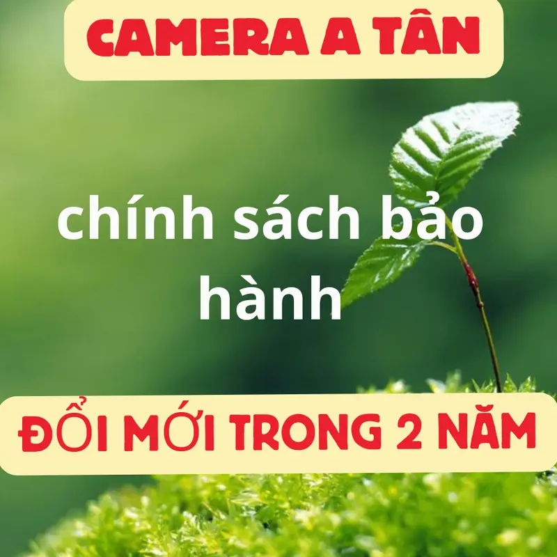 Thẻ Nhớ  Chuyên dụng cho camera 128GB/64GB/32GB tốc độ cao 90mb/s class 10/u3 YOOSEE Chuyên Dụng Cho Camera, Camera Hành Trình,Bảo hành 2 năm Phụ Kiện Phụ Kiện 1