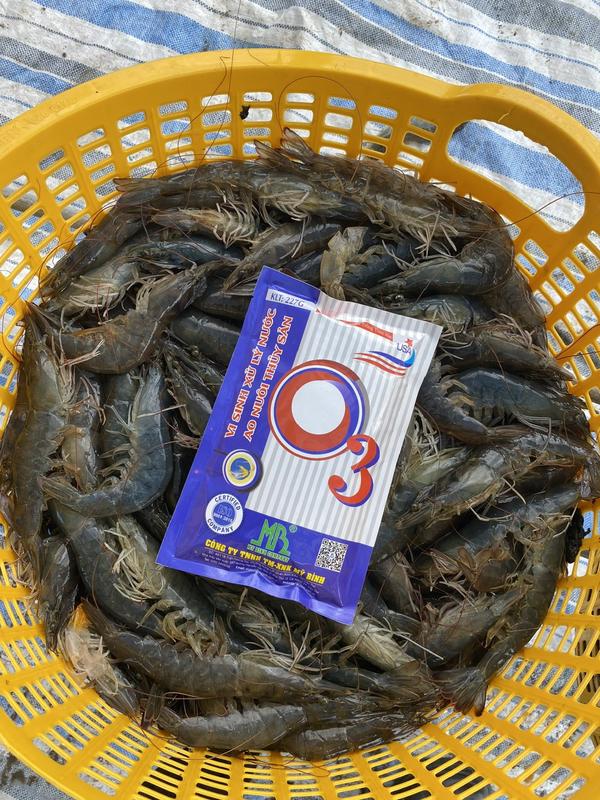 Men Vi Sinh O3 - Xử lý nước ao nuôi, tạo màu tảo khuê, ổn định môi trường nước, ổn định pH, cắt tảo xanh 1