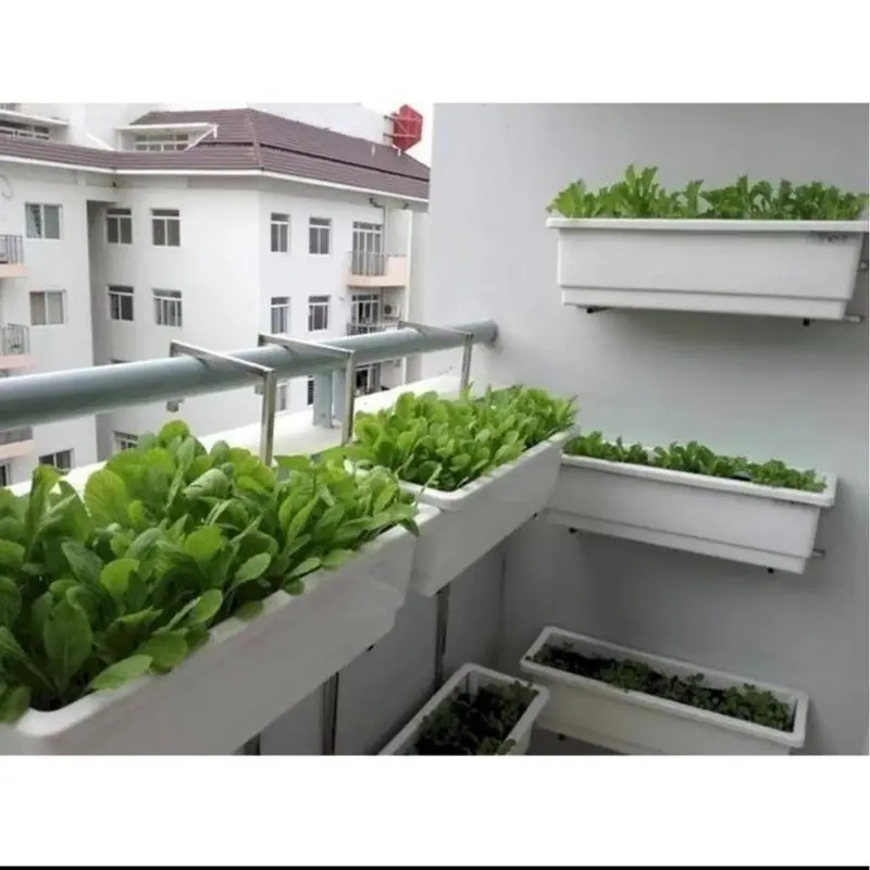 [Mua 5 tặng 1] CHẬU NHỰA HCN TRỒNG CÂY KT 48X20X16cm chau trong cay chậu  nhựa 2