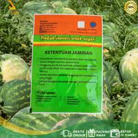 Gambar Benih Semangka Unggul MADEIRA F1 20 gr Cap Bintang Asia dari PUROTANI.ID Kab. Purworejo 3 Tokopedia
