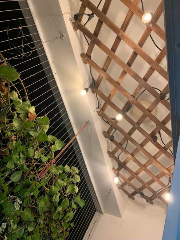 [Cao Cấp] Khung giàn gỗ treo cây ban công, Giàn leo hoa hồng gỗ KT 140x 60 cm Goodwood - Gỗ keo tự nhiên, chống mối mọt, ẩm mốc 8