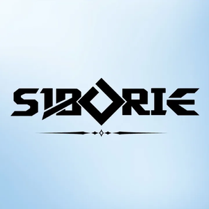 SIBORIE Chuyên SoundCard-HCM