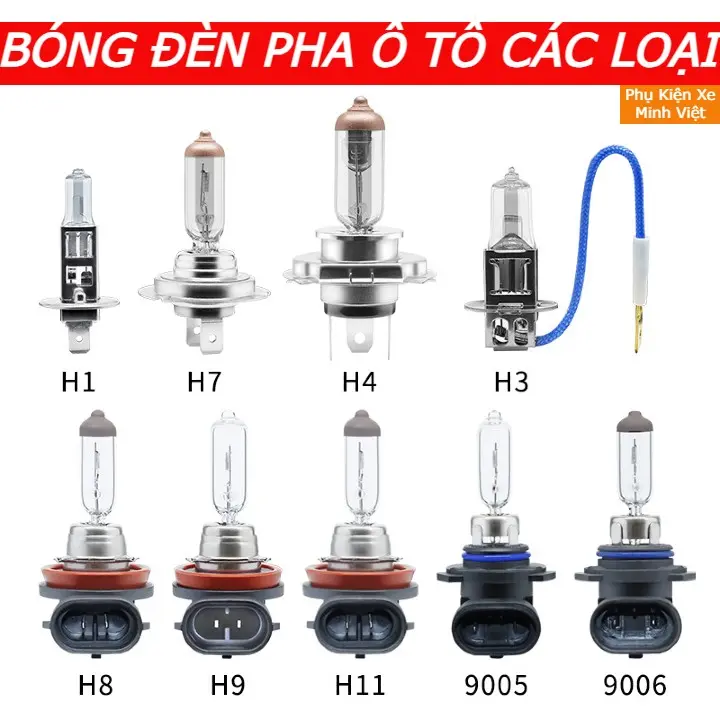 Bóng đèn pha ô tô Halogen các loại chân bóng H1/H7/H4/H11/9005/9006 - 12V Dùng cho các loại xe ô tô trên thị trường Phụ Tùng bi gầm m7 magic 2 0 h4s den led đèn halogen phá sương trên đèo nội đèn xanh băng đèn phá sương gần