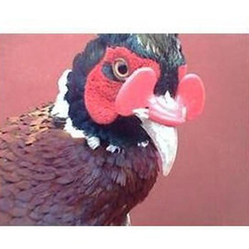 100 Pcs Peepers Chicken Poultry Blinders Spectacles Glasses 6