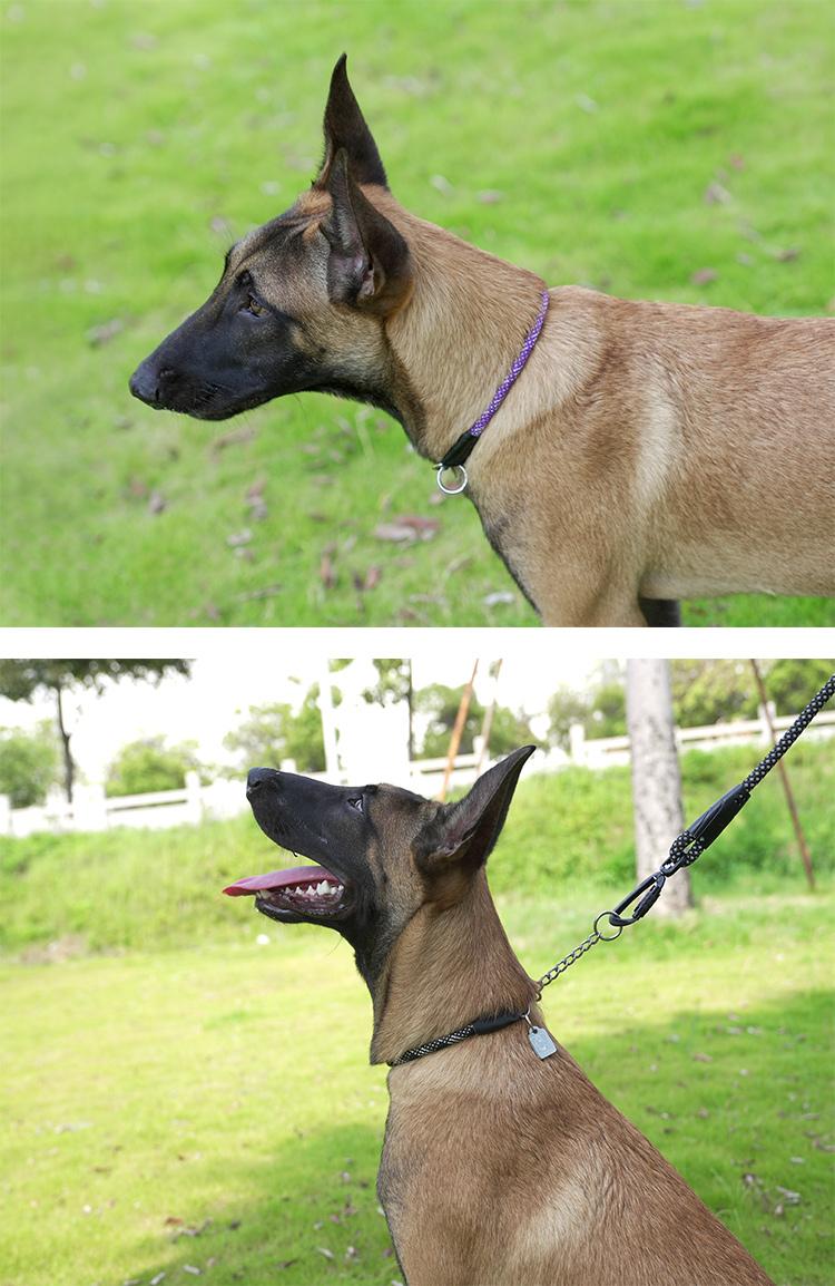 Product Introduction of Truelove Pet P-Collar New Strong Metal Stainless Steel Nylon Braided Large Rope Training Dog Premium Designer Luxury TLC5374 19