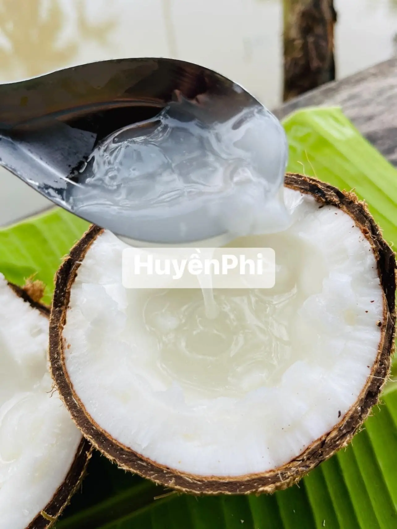 [ Chỉ có trên live ] [Dừa sáp loại 1 - SÁP ĐẶC size LỚN mỗi trái giao động từ 1kg - 1kg4]