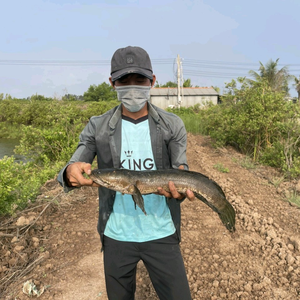 NHT FISHING