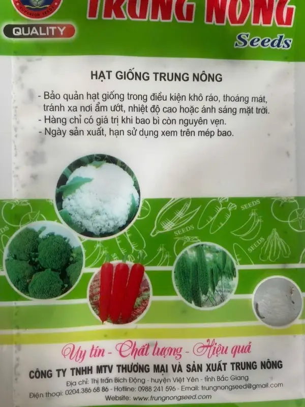 Hạt giống rau má lá nhỏ - Cam kết bán hàng chính hãng số 1 Việt nam 1
