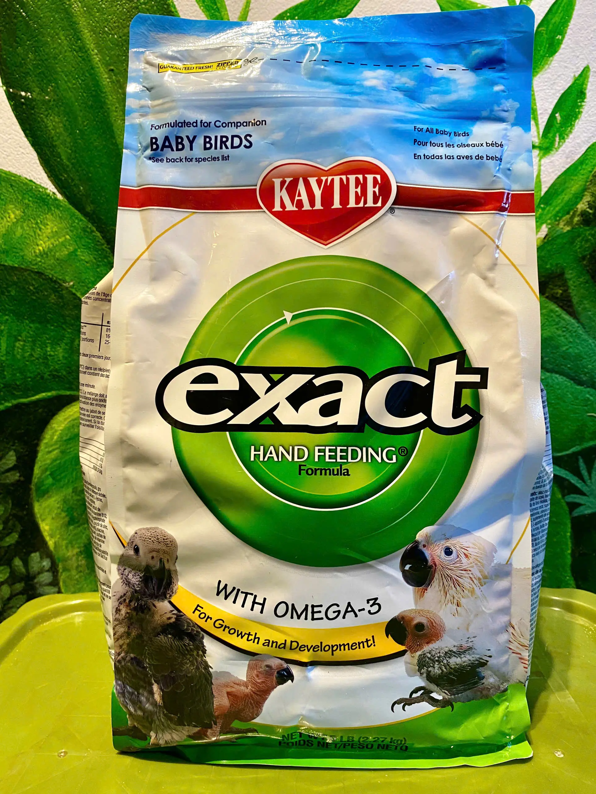 Bột KAYTEE Dinh Dưỡng Cho Vẹt Non - Thức Ăn Cho Vẹt Non