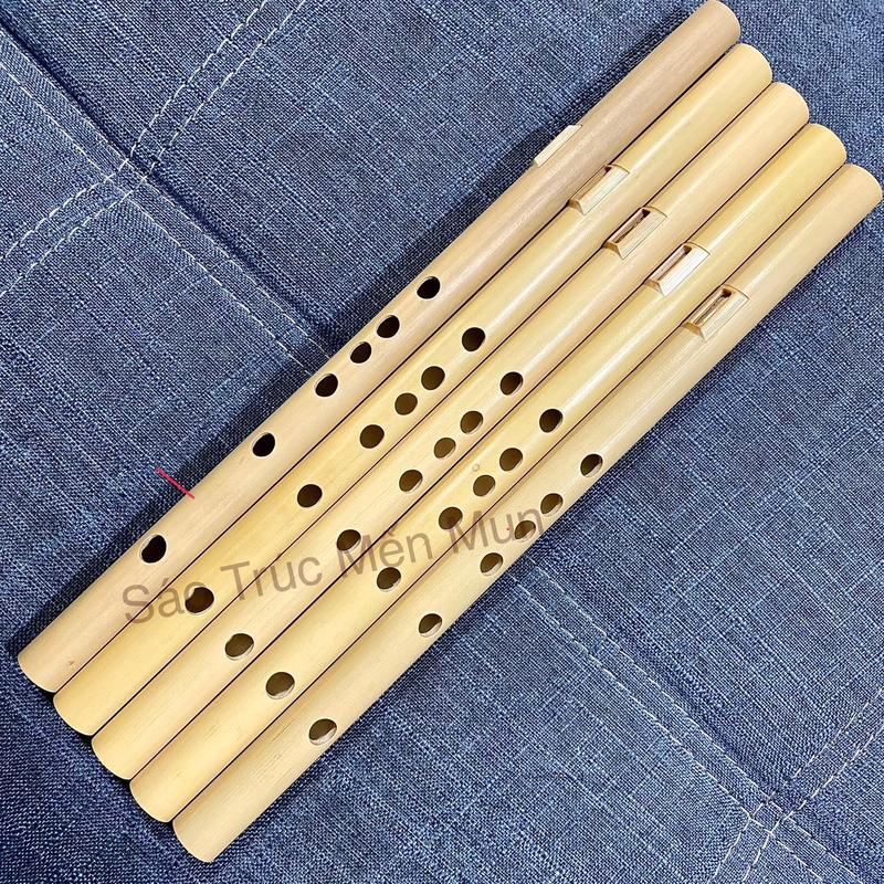  Sáo Mèo Nữ  nữ nứa  