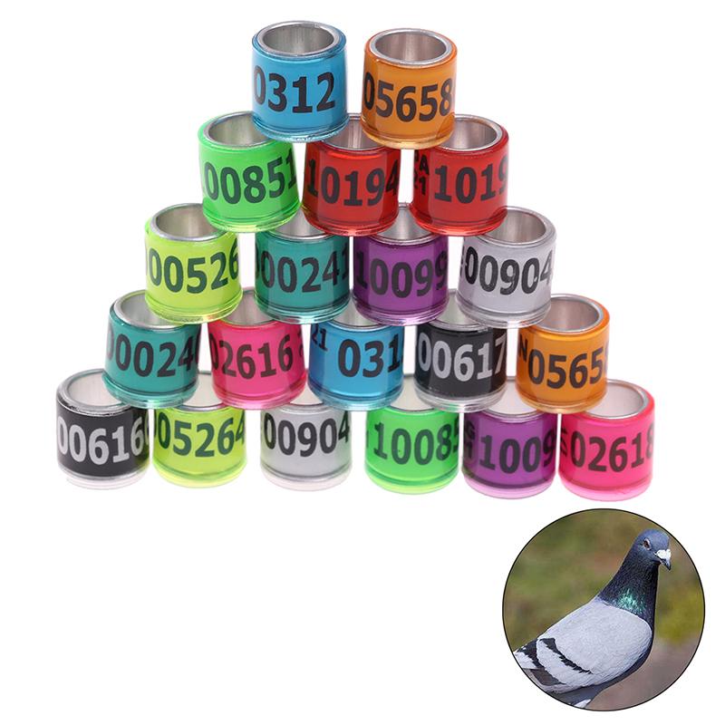 Product Introduction of 20 pcs Pigeon Foot Ring With Word Earrings 2023 Multicolor Bird Tools 18